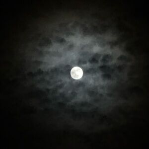 Meet your Posher, NP